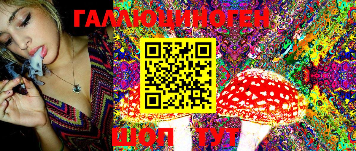 Галлюциногенные грибы Magic Shrooms Кизляр